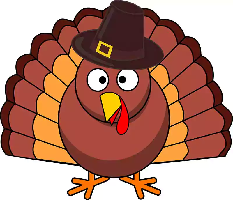 thanksgiving horor turkey cartoon drawings