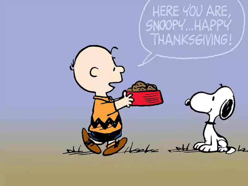 thanksgiving peanuts image
