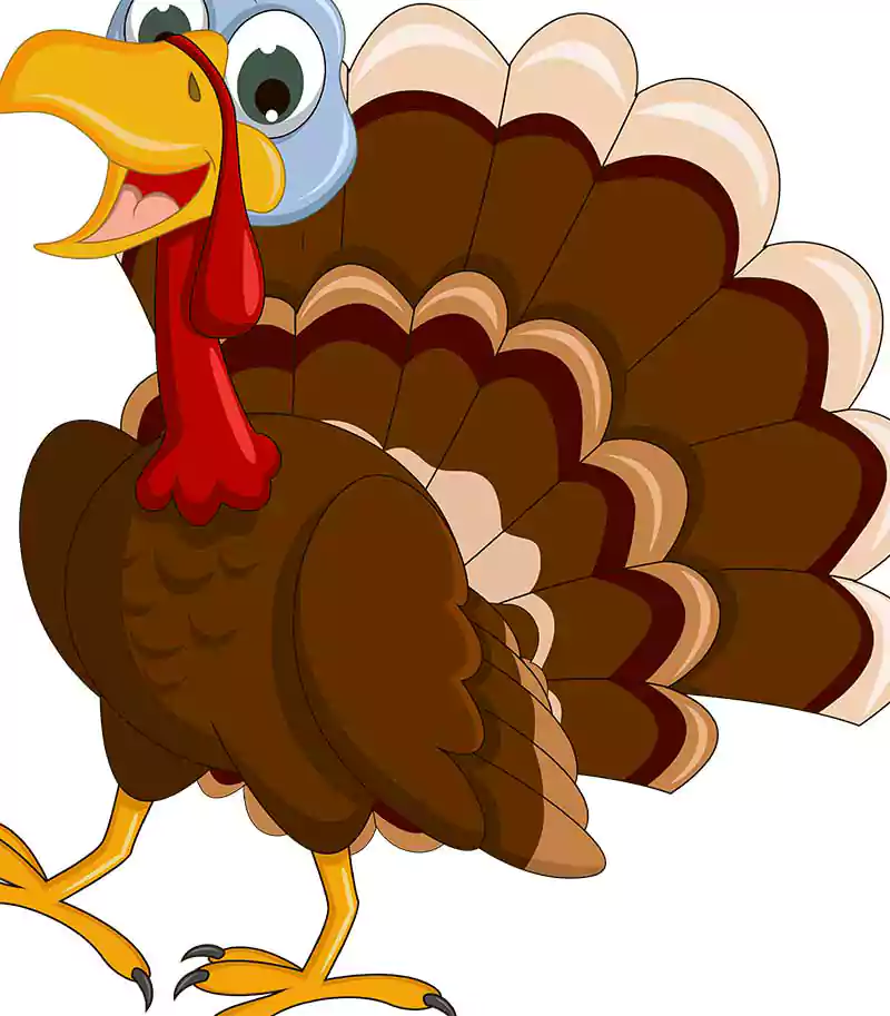 thanksgiving turkey cartoon photo