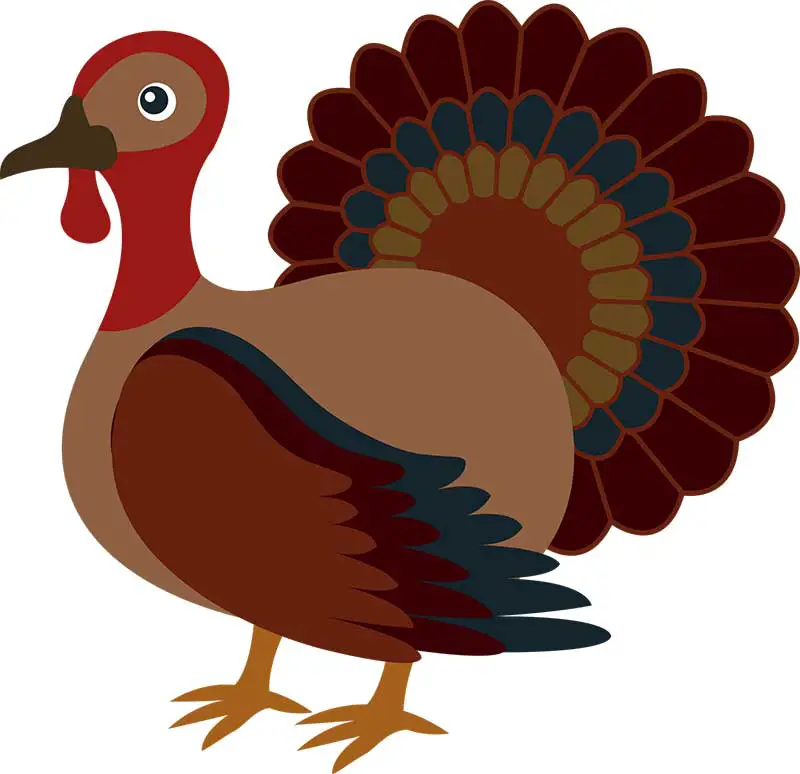 thanksgiving turkey clipart