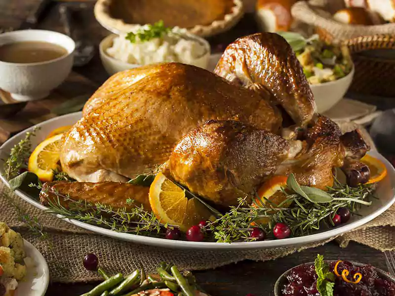 thanksgiving turkey dinner picture