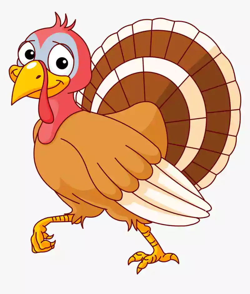 thanksgiving turkey picture cartoon