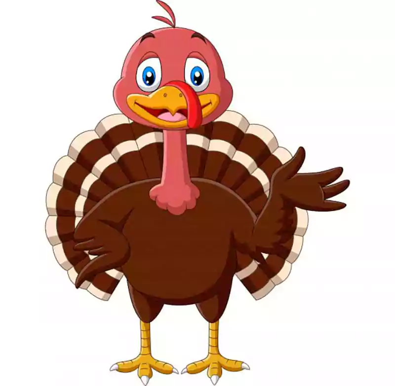 turkey cartoon thanksgiving