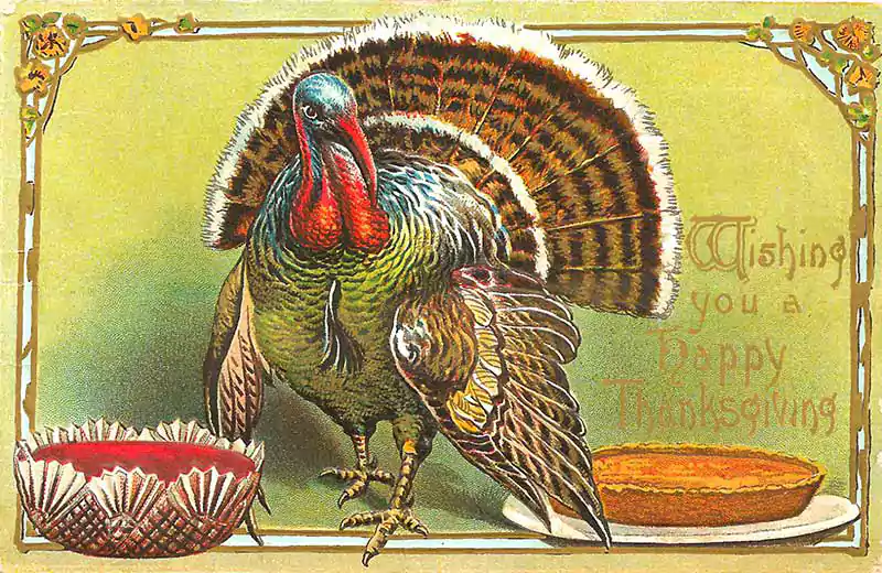 vintage thanksgiving postcard image
