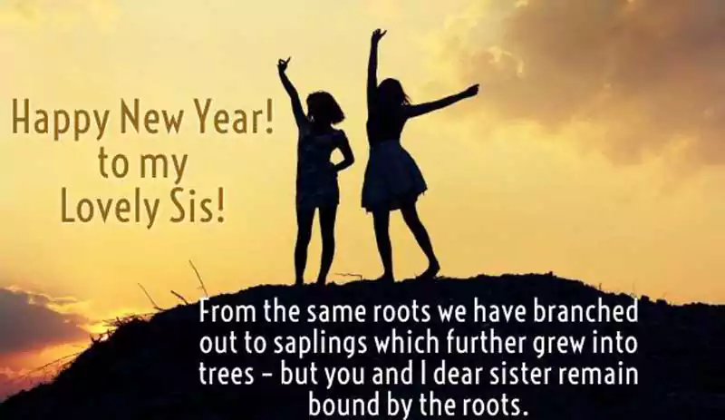 Happy New Year Wishes Messages for Sister
