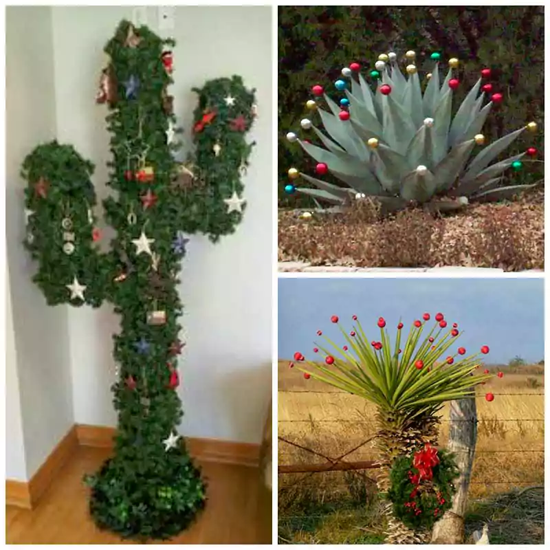 Merry Christmas Cactus Image