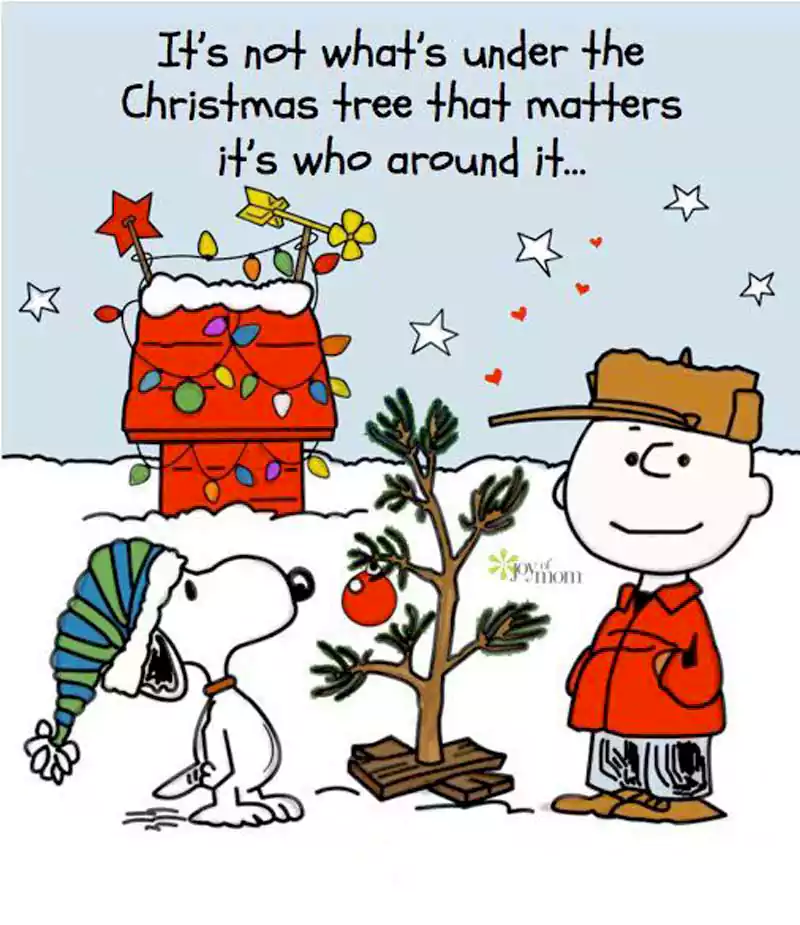 Merry Christmas Charlie Brown Quotes Sayings