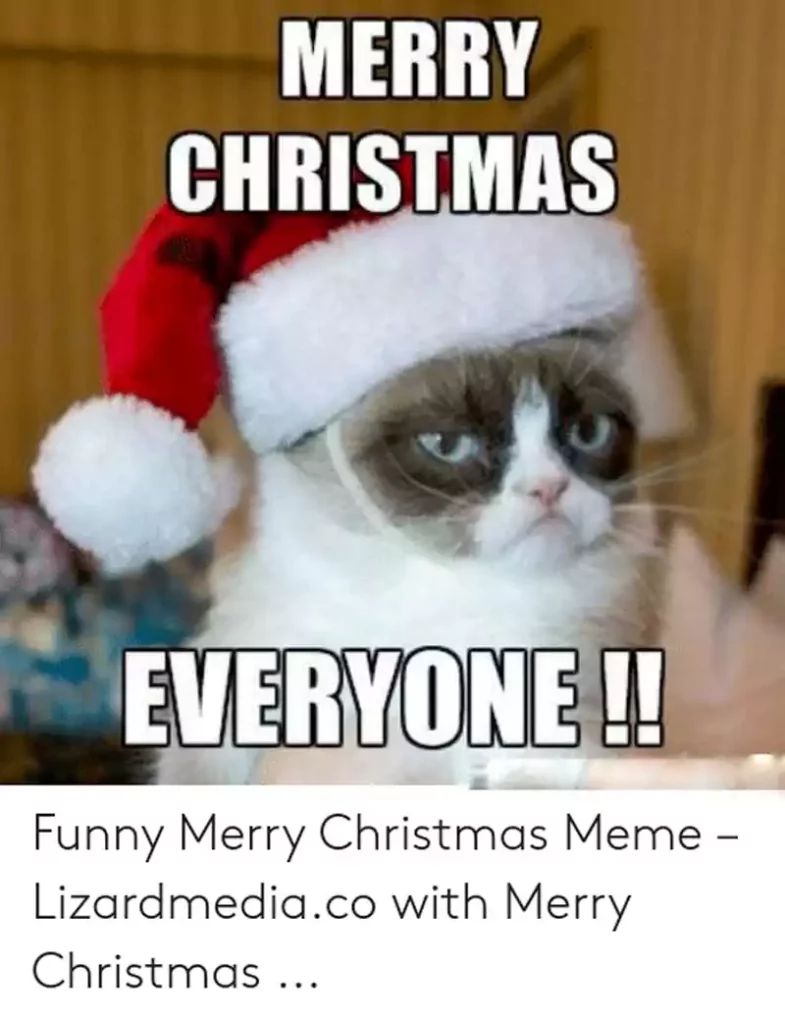 Merry Christmas Everyone Meme