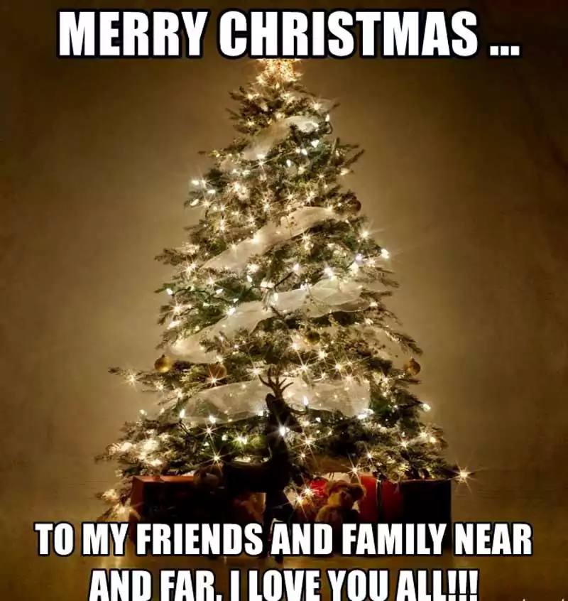 25 Funny Merry Christmas Family Memes 2023 - QuotesProject.Com