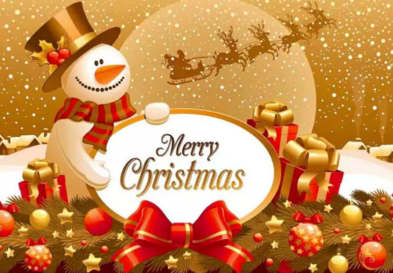 Merry Christmas Funny Wishes Messages Greetings