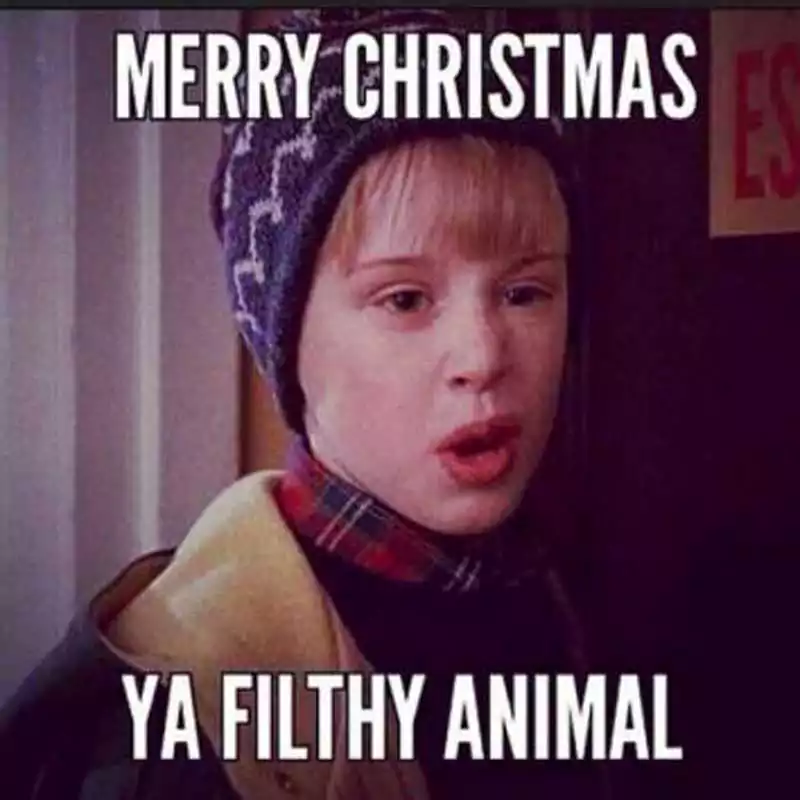 Merry Christmas Home Alone Meme