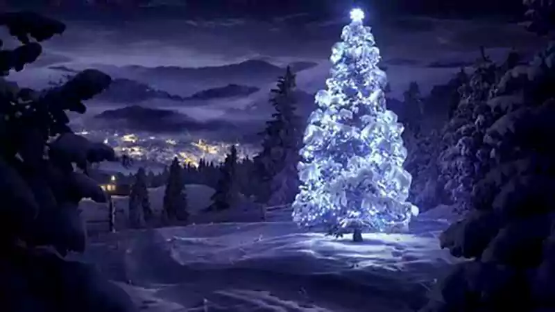 Merry Christmas Nature Images