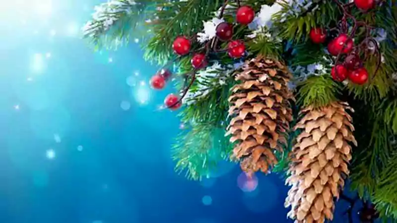 Merry Christmas Nature Images