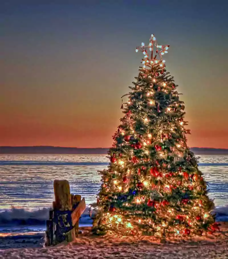 Merry Christmas Ocean Image