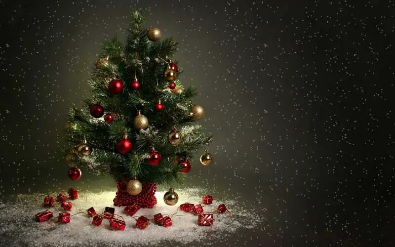 Merry Christmas Tree Wallpaper