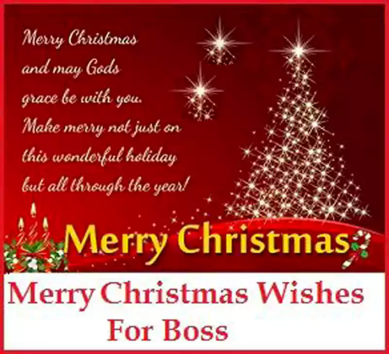 Merry Christmas Wishes Messages Greetigns for Boss