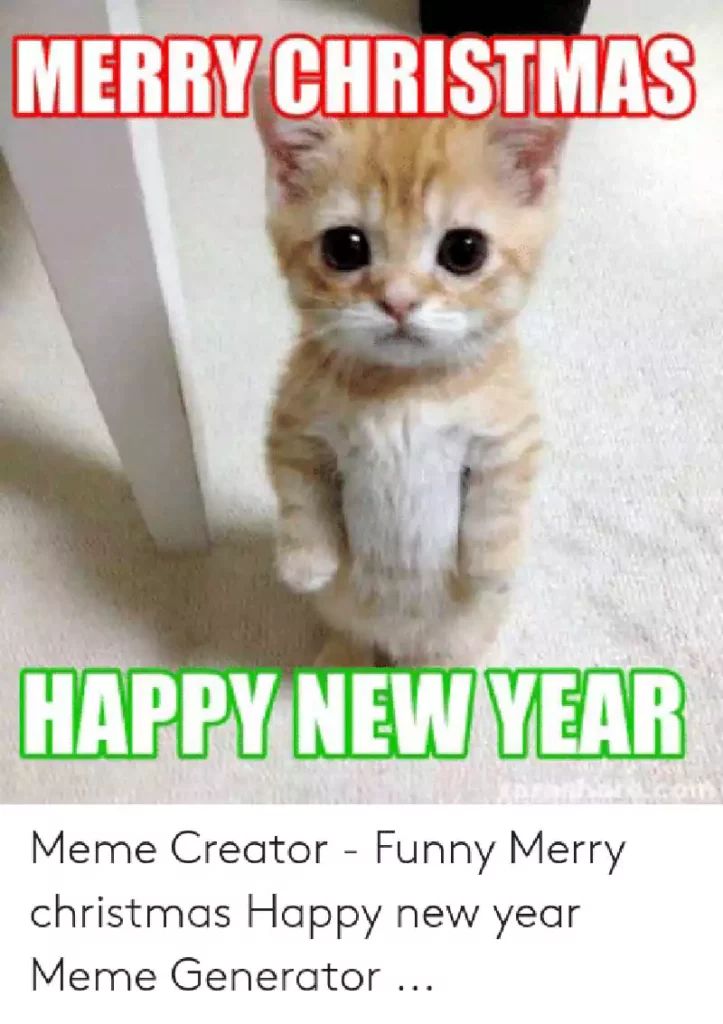 Merry Christmas and Happy New Year Meme