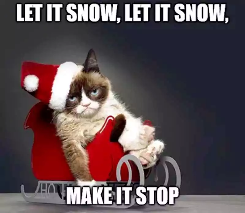 grumpy cat christmas meme l