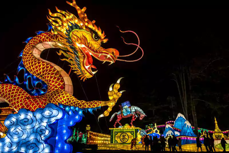Chinese New Year Dragon Picture