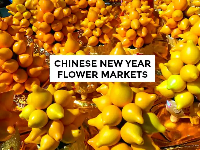 Chinese New Year Flower Images
