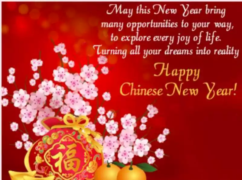 Chinese New Year Greeting