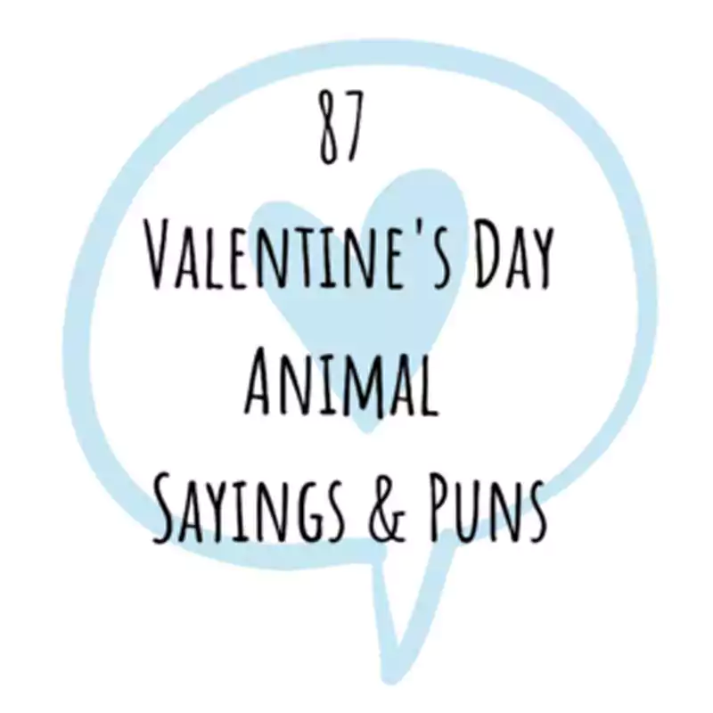 Cute Valentines Day Sayings
