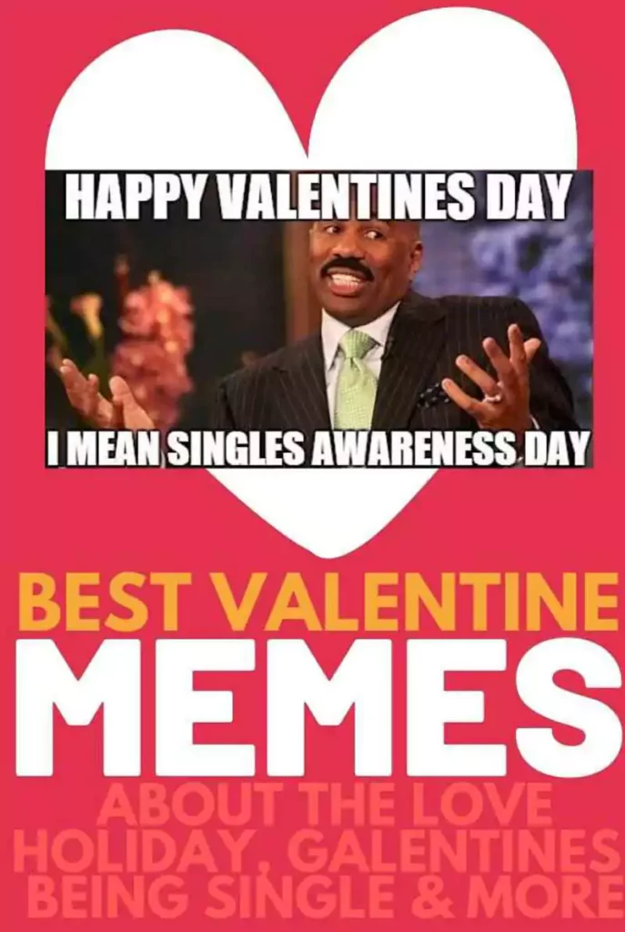Funny Valentines Day Memes for Him