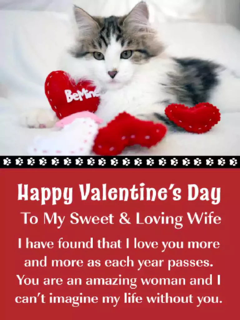 Happy Valentines Day Cat Images