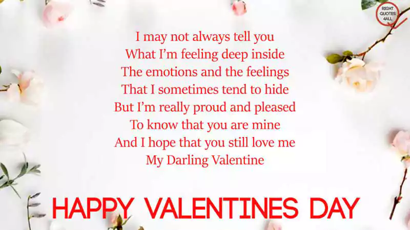 Happy Valentines Day My Love Poem