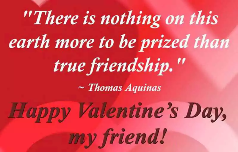 Happy Valentines Day Quotes for Friendship