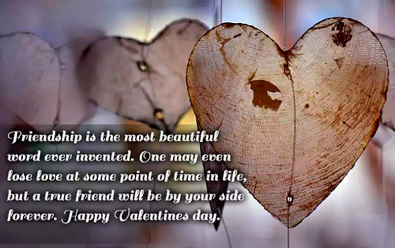 Happy Valentines Day Quotes for Friendship