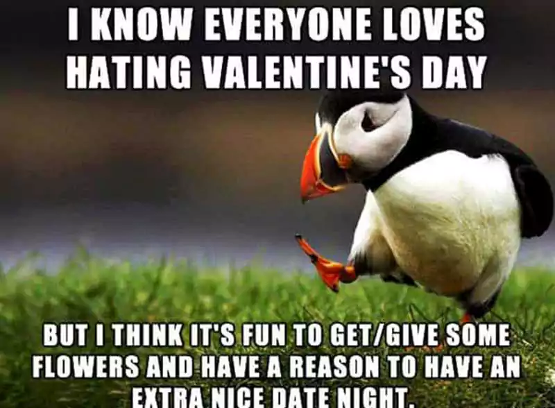 Hate Valentines Day Meme