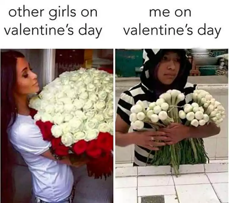 Me on Valentines Day Meme