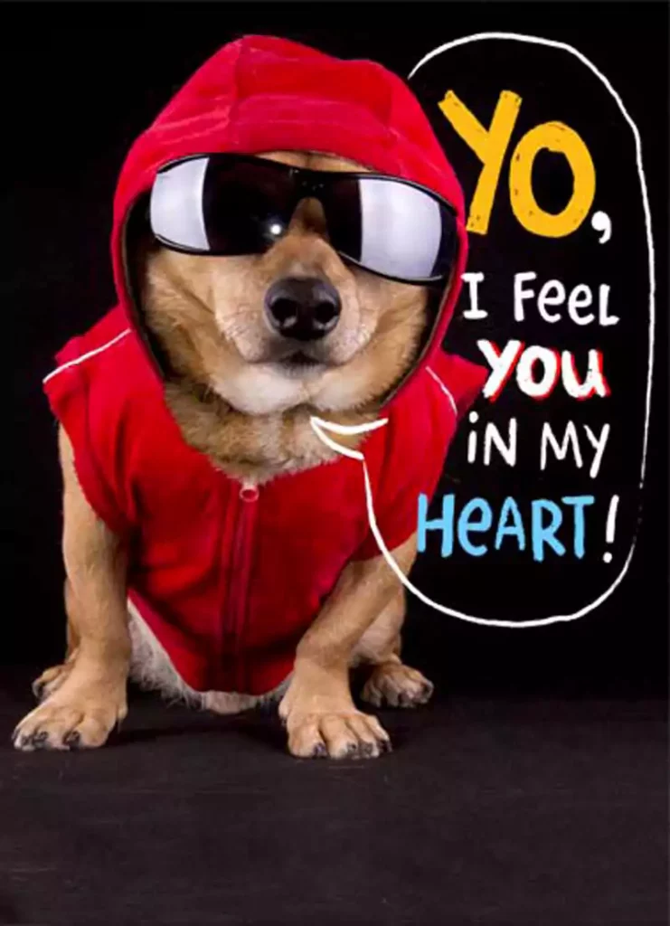 Valentines Day Images With Dogs
