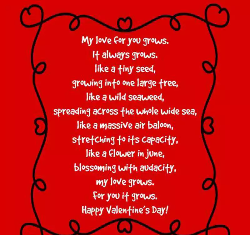 Valentines Day Poems for Him