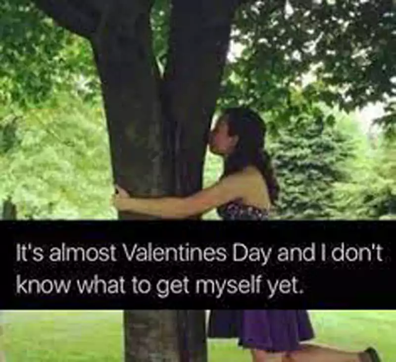 Valentines Day Quotes Funny