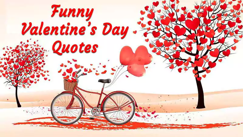 Valentines Day Quotes Funny