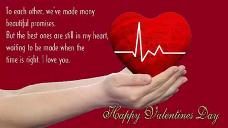 Valentines Day Quotes for Wife