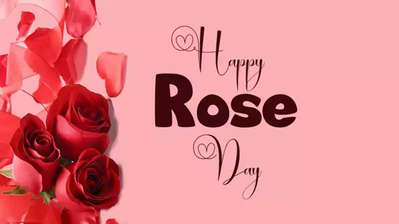 funny rose day quotes