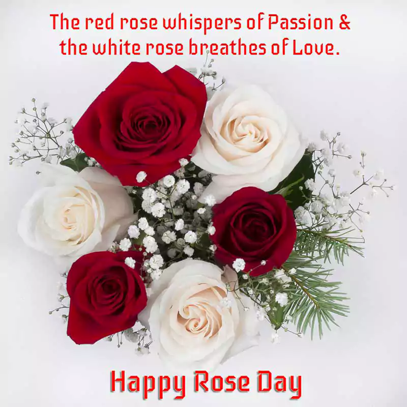 happy rose day quotes for lover