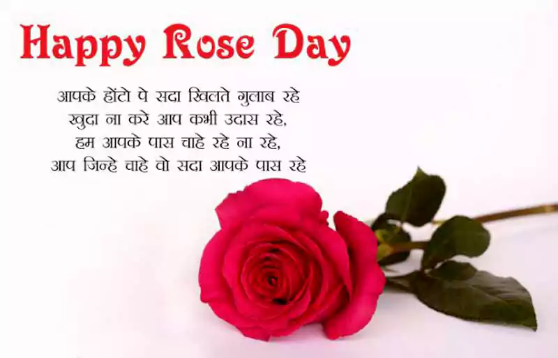 happy rose day wallpaper background