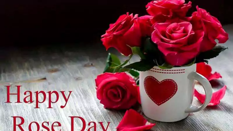 happy rose day wallpaper background