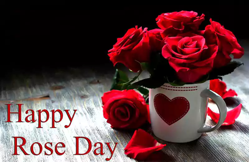 rose day image for love