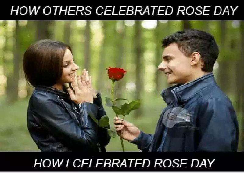 rose day meme
