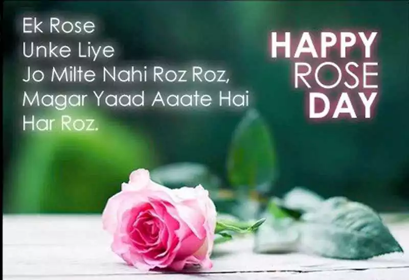 rose day poem