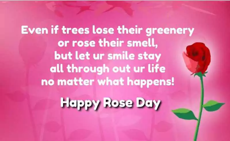 rose day poem