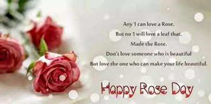 rose day quotes for friends
