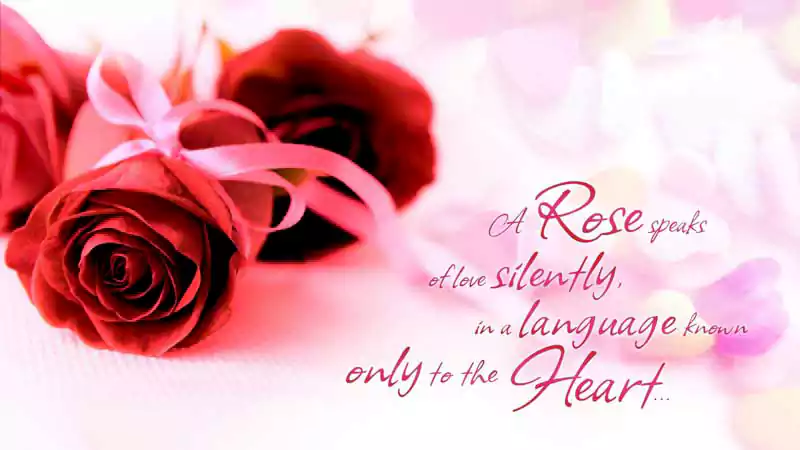rose day quotes for her