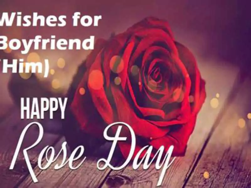 rose day quotes for him