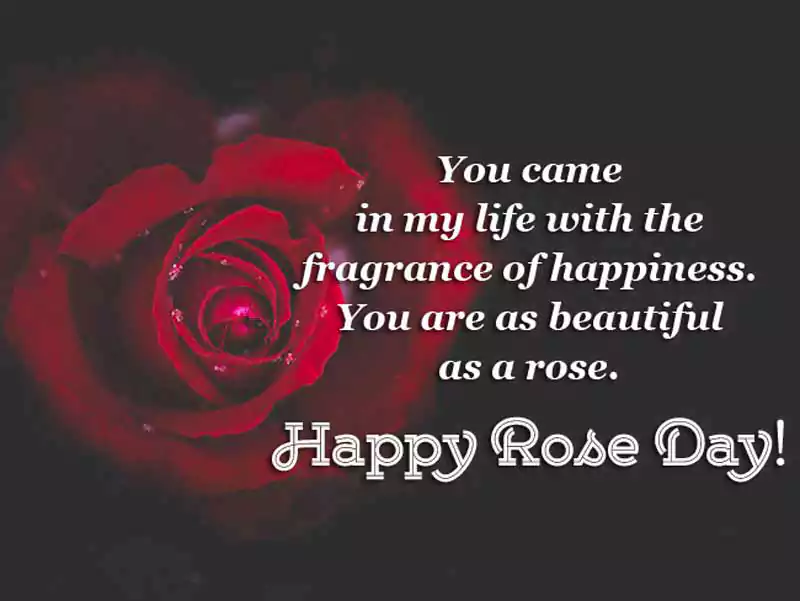 rose day quotes for wife